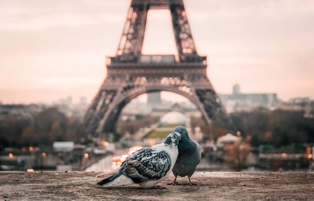 Paris Paris
