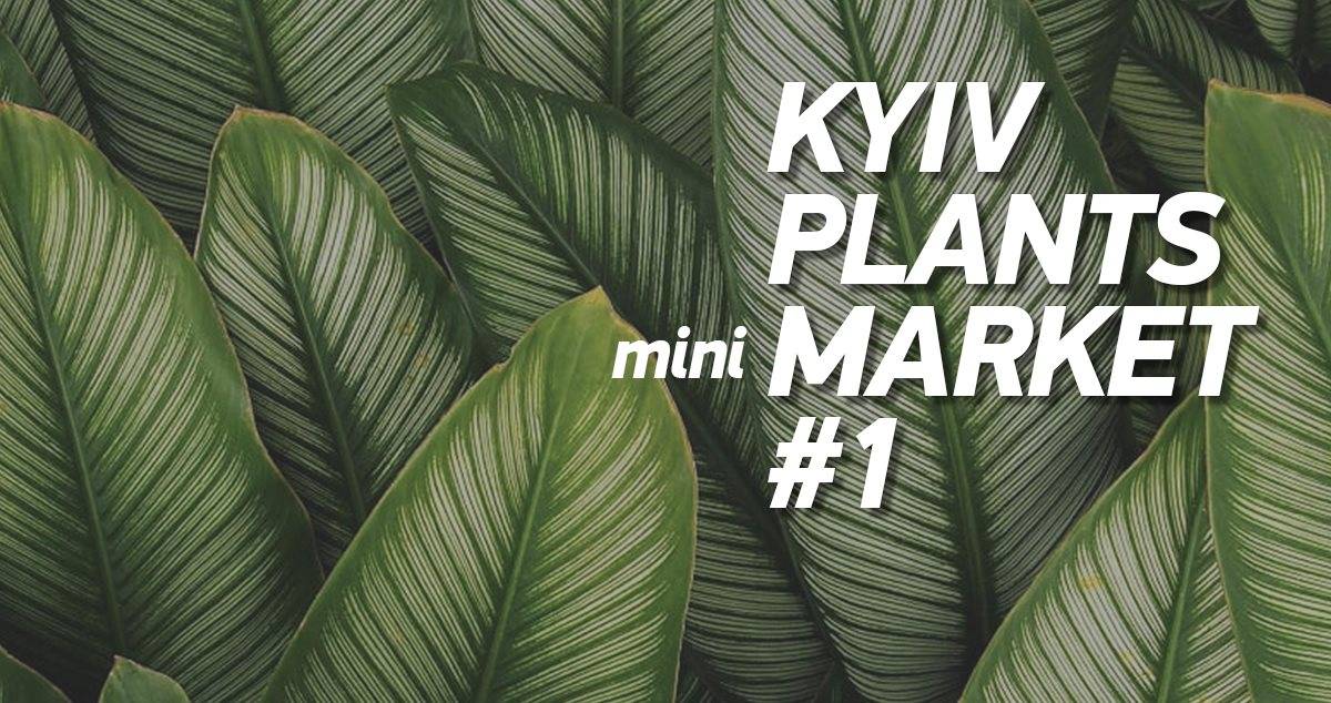 Plants Market