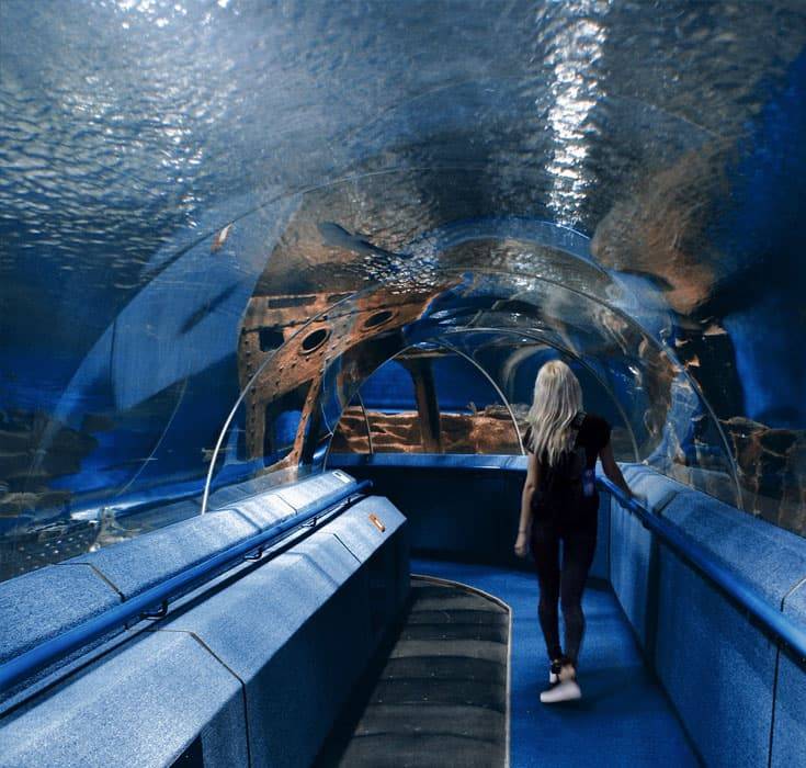 Oceanarium
