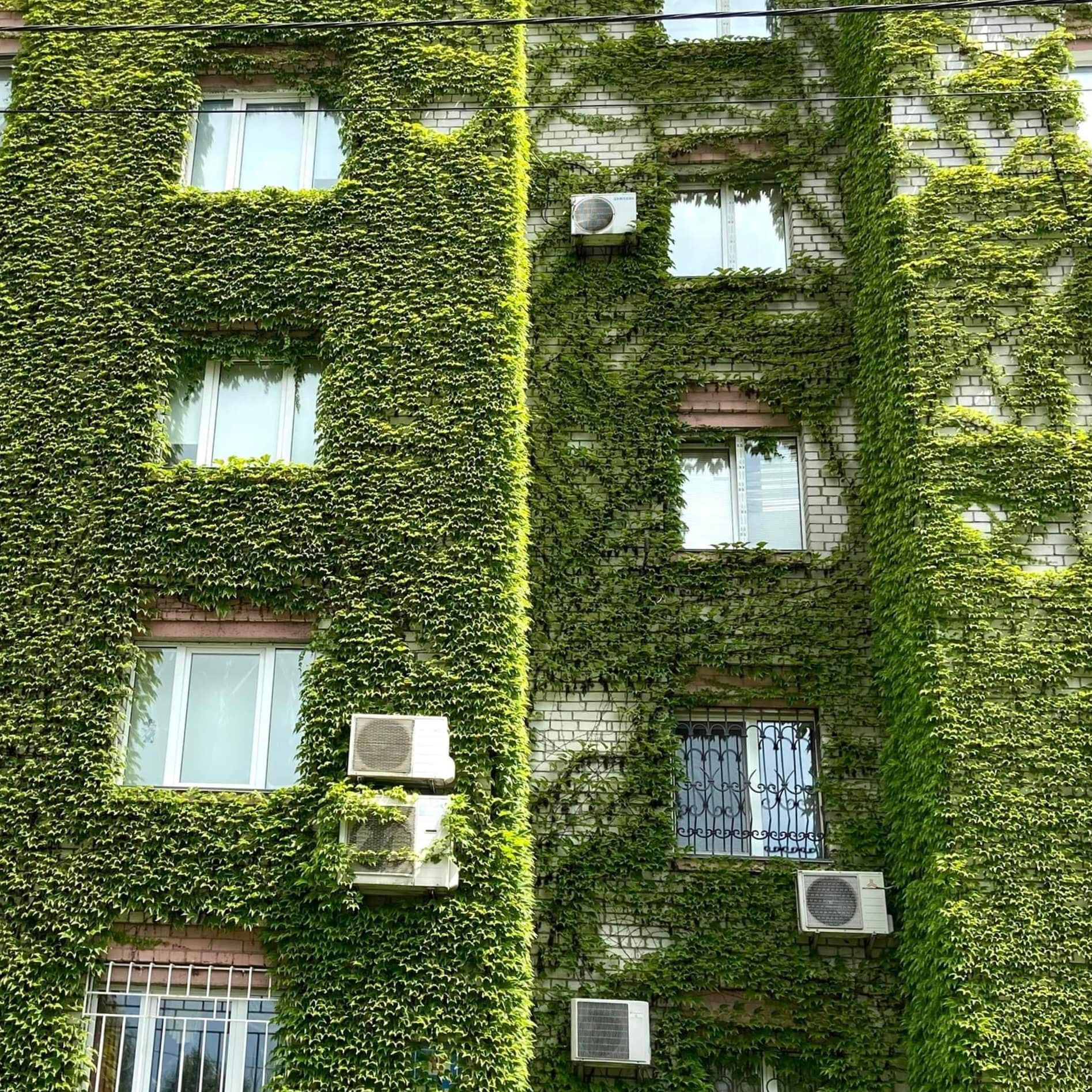 291680146_411595894347040_3966632580839329163_n (1)