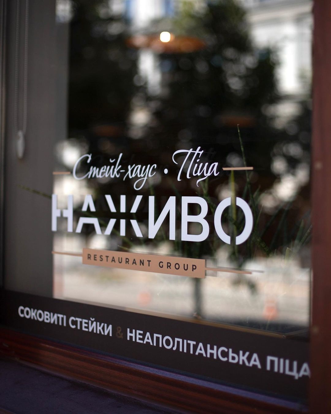 najivo_group_294866501_138395838874253_4929812009429504030_n