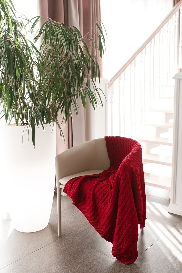 pledy-cozy-r1-min