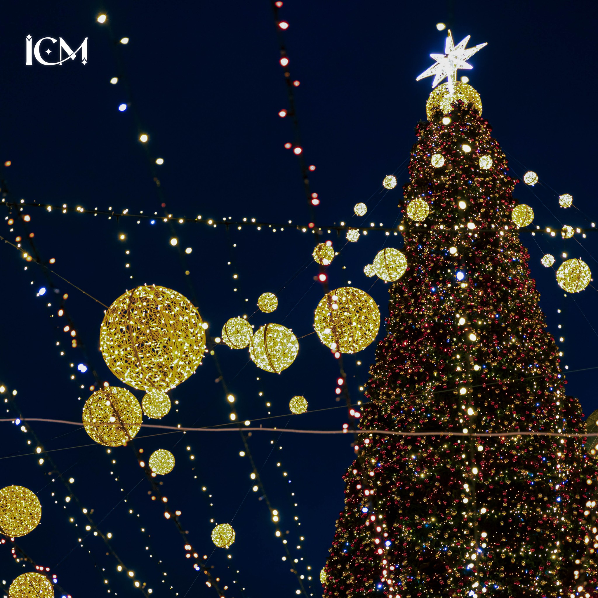 Tall city Christmas tree with many lights at night.
