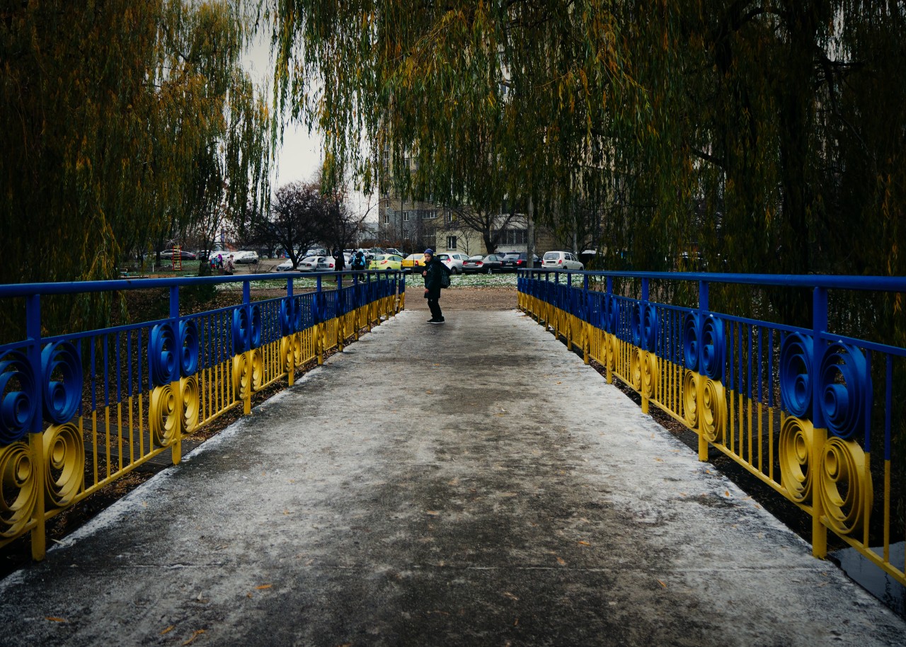 borshagivka11