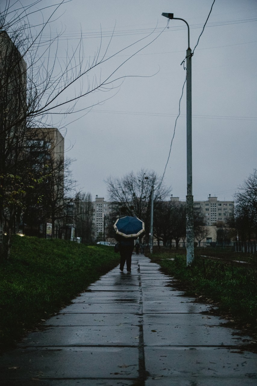 borshagivka13