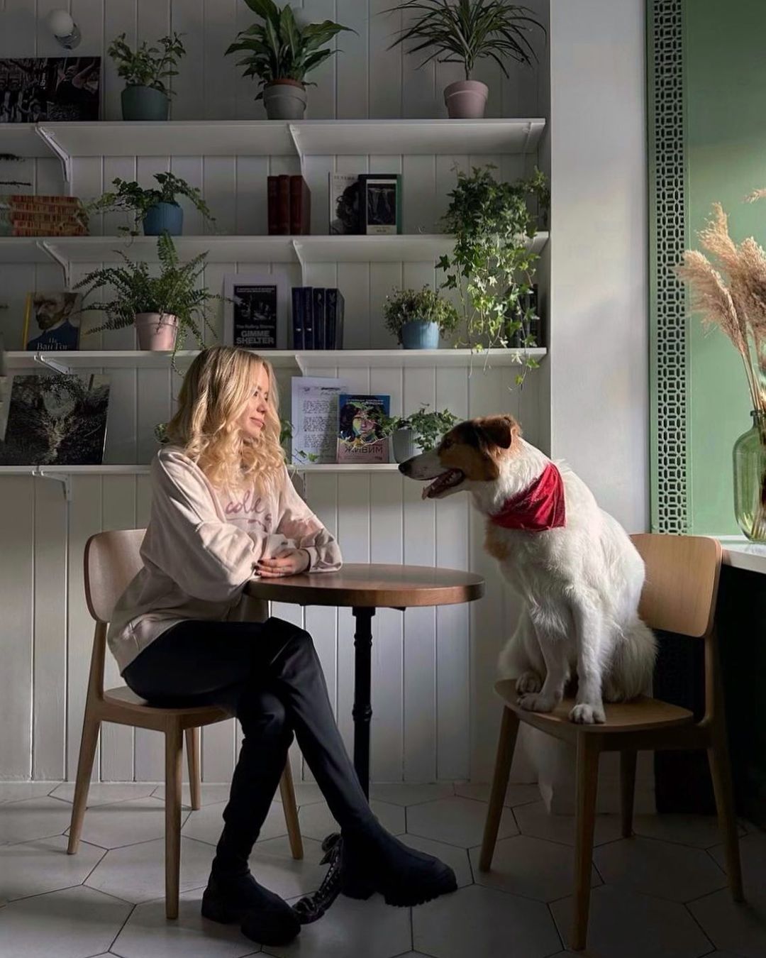 collie cafe4