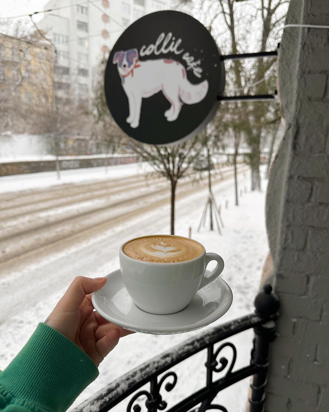 collie cafe5